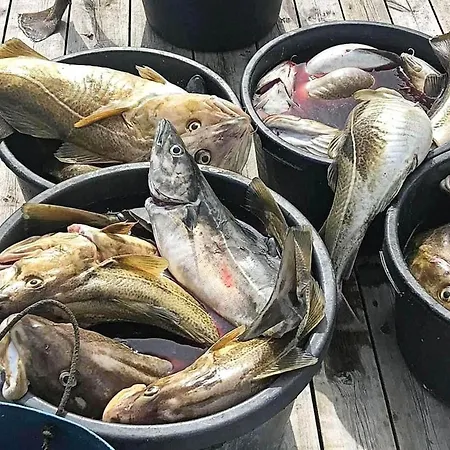 6 Person In Kverva Casa de Férias